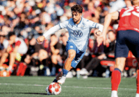 Giorgio Probo in professional soccer