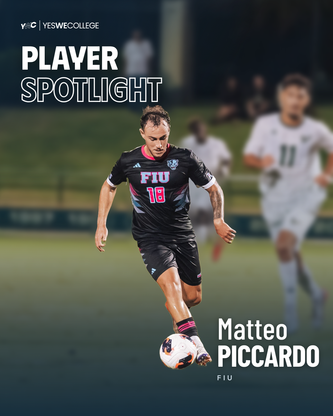 Matteo Piccardo, Player Spotlight FIU